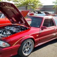 347stang