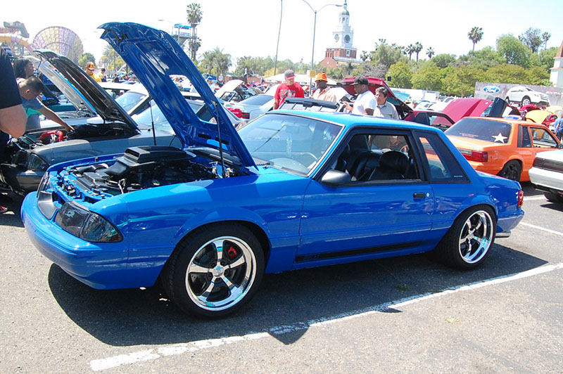 DSC_1598.jpg