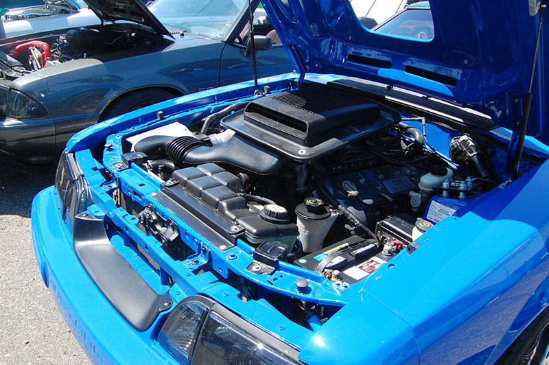 DSC_1603.jpg