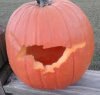 mustang pumpkin.jpg